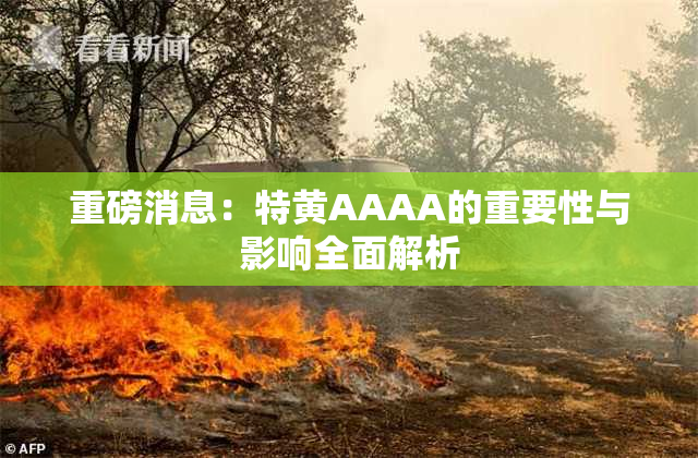 重磅消息：特黄AAAA的重要性与影响全面解析