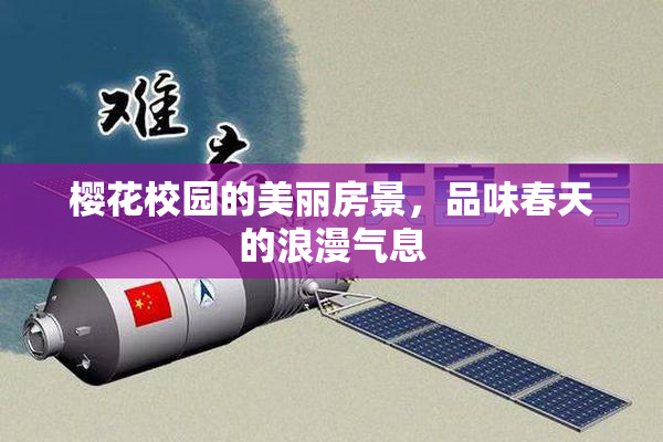 樱花校园的美丽房景，品味春天的浪漫气息