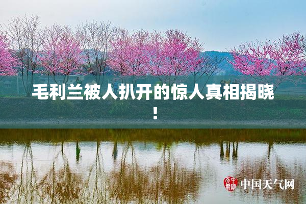 毛利兰被人扒开的惊人真相揭晓！