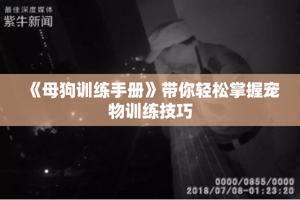 《母狗训练手册》带你轻松掌握宠物训练技巧