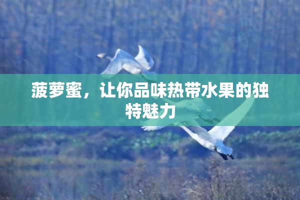 菠萝蜜，让你品味热带水果的独特魅力