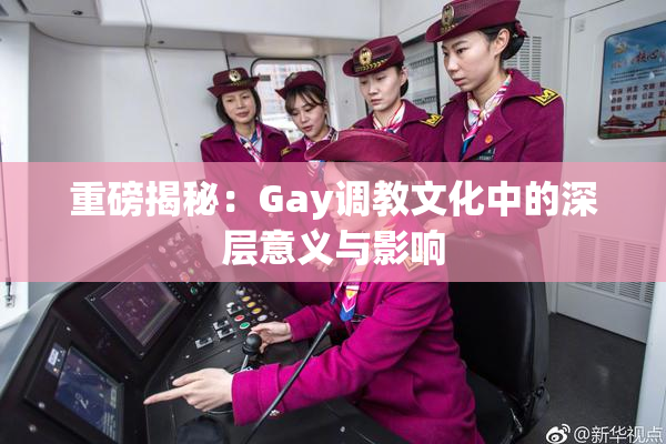 重磅揭秘：Gay调教文化中的深层意义与影响