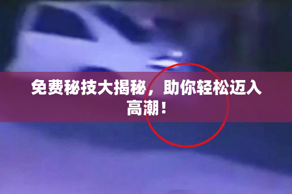 免费秘技大揭秘，助你轻松迈入高潮！