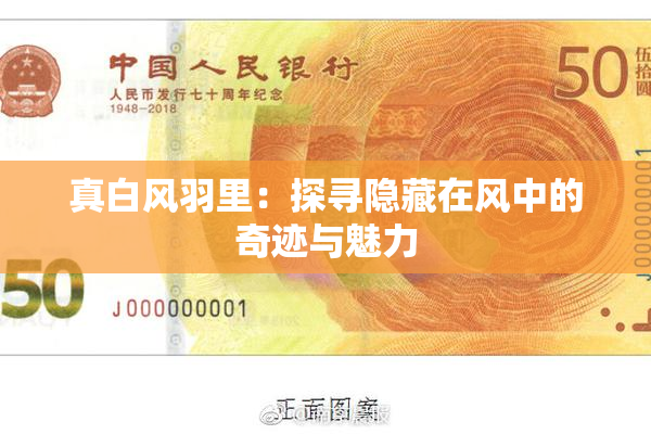 真白风羽里：探寻隐藏在风中的奇迹与魅力