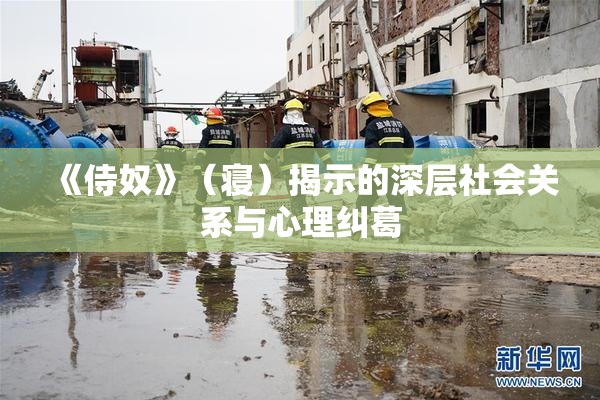 《侍奴》（寝）揭示的深层社会关系与心理纠葛