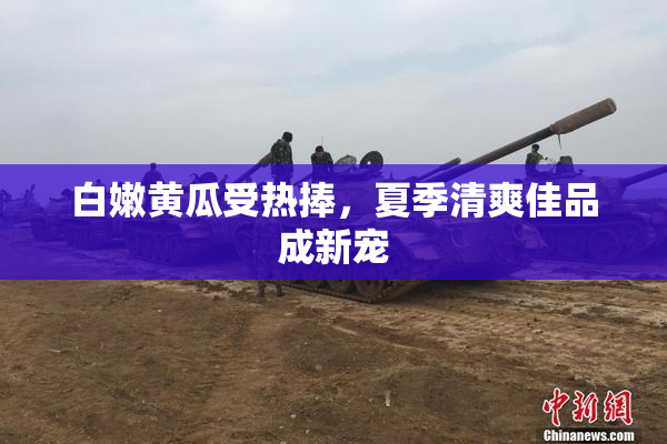白嫩黄瓜受热捧，夏季清爽佳品成新宠