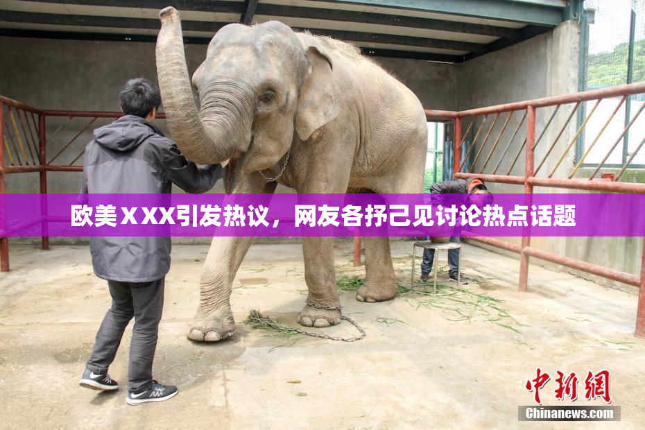 欧美ⅩXX引发热议，网友各抒己见讨论热点话题