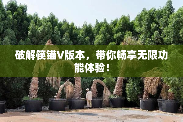 破解筷锚V版本，带你畅享无限功能体验！