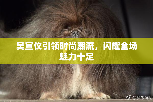 吴宣仪引领时尚潮流，闪耀全场魅力十足