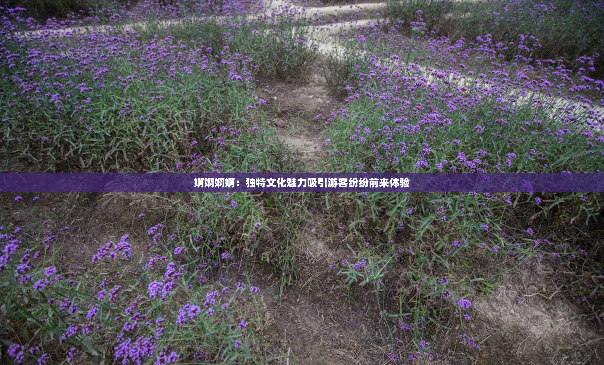 婀婀婀婀：独特文化魅力吸引游客纷纷前来体验