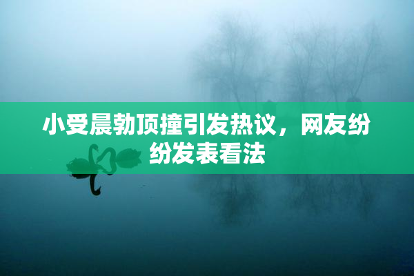 小受晨勃顶撞引发热议，网友纷纷发表看法