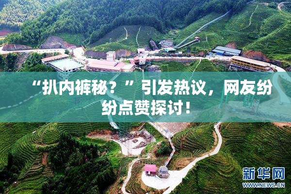 “扒内裤秘？”引发热议，网友纷纷点赞探讨！