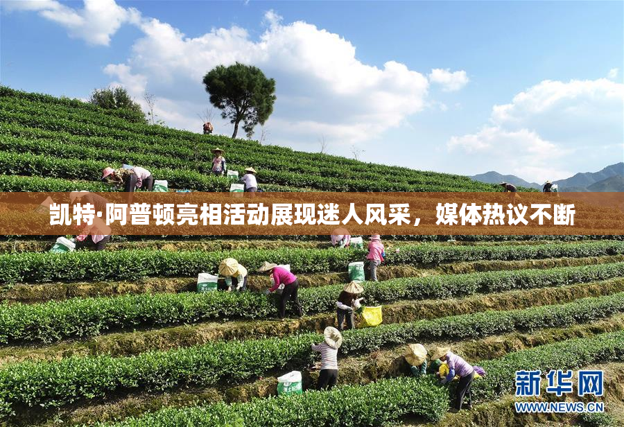凯特·阿普顿亮相活动展现迷人风采，媒体热议不断