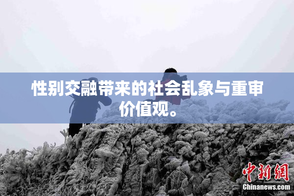 性别交融带来的社会乱象与重审价值观。
