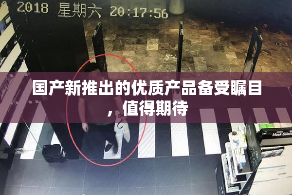 国产新推出的优质产品备受瞩目，值得期待