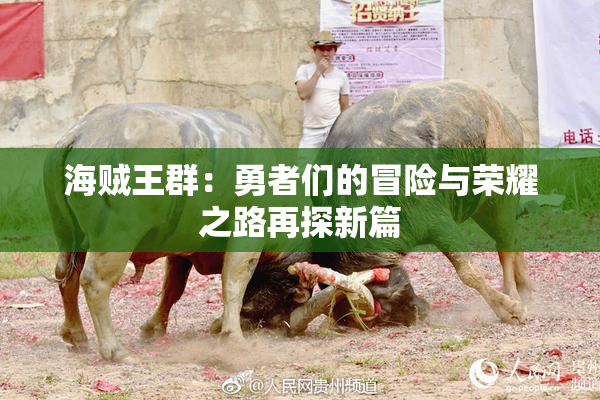 海贼王群：勇者们的冒险与荣耀之路再探新篇