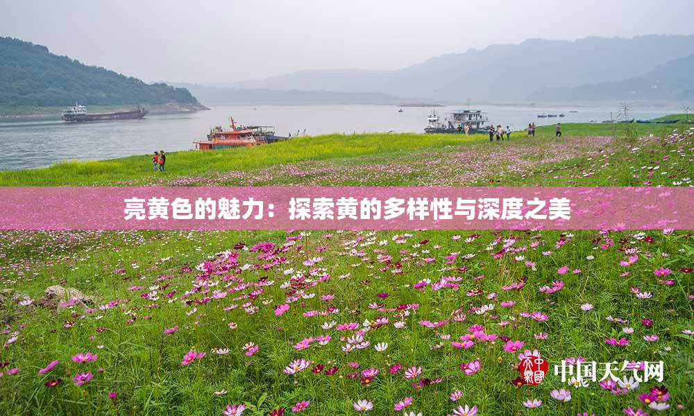 亮黄色的魅力：探索黄的多样性与深度之美
