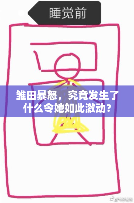 雏田暴怒，究竟发生了什么令她如此激动？