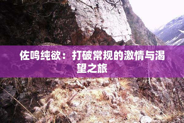 佐鸣纯欲：打破常规的激情与渴望之旅