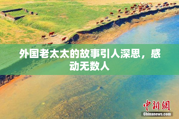 外国老太太的故事引人深思，感动无数人