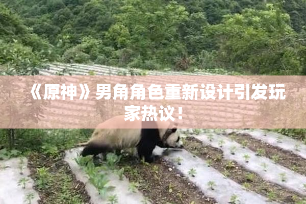 《原神》男角角色重新设计引发玩家热议！