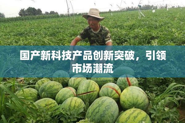 国产新科技产品创新突破，引领市场潮流
