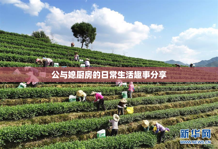 公与媳厨房的日常生活趣事分享