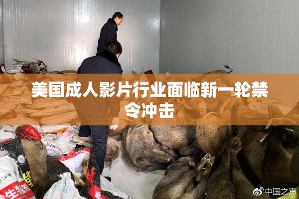 美国成人影片行业面临新一轮禁令冲击