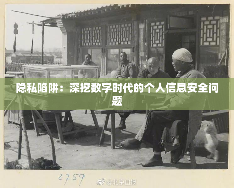 隐私陷阱：深挖数字时代的个人信息安全问题