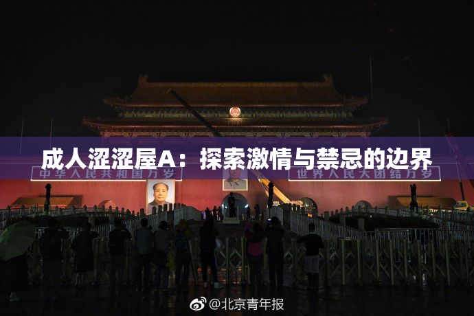 成人涩涩屋A：探索激情与禁忌的边界