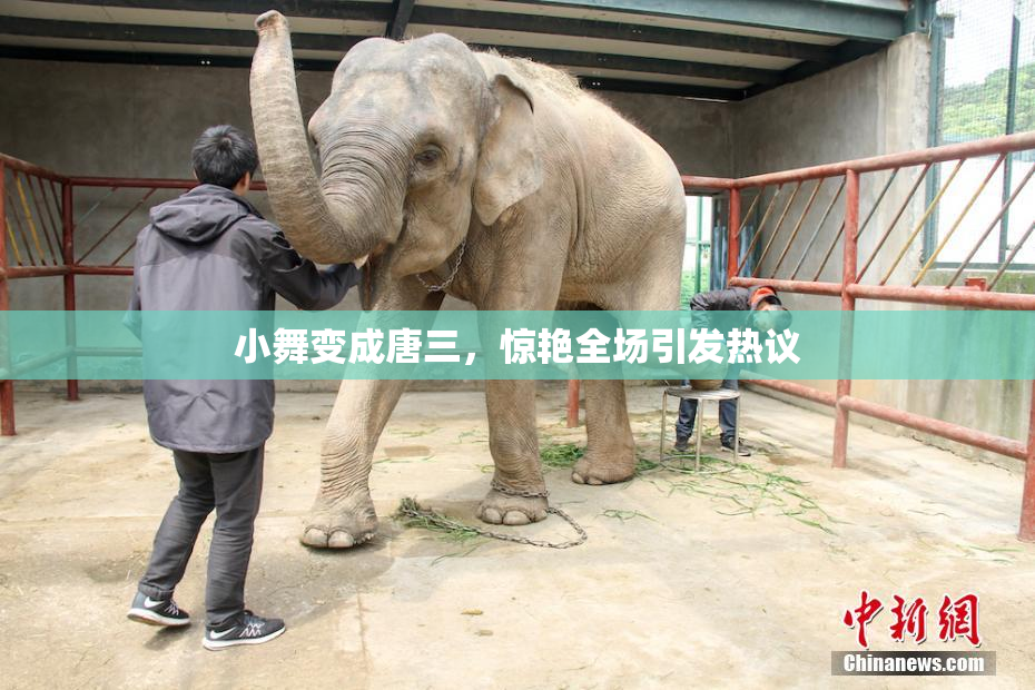 小舞变成唐三，惊艳全场引发热议