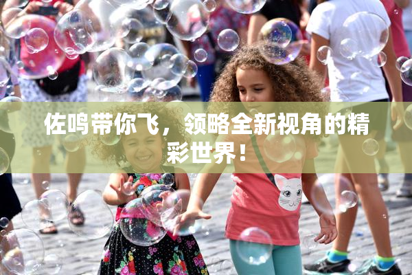 佐鸣带你飞，领略全新视角的精彩世界！