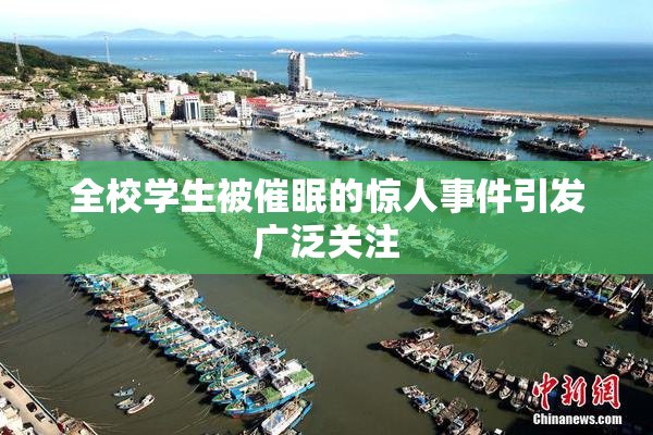 全校学生被催眠的惊人事件引发广泛关注