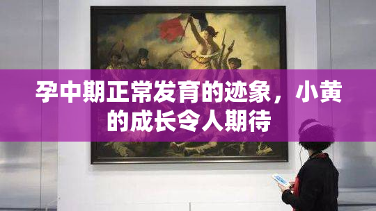 孕中期正常发育的迹象，小黄的成长令人期待