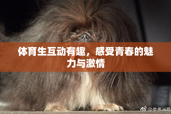 体育生互动有趣，感受青春的魅力与激情
