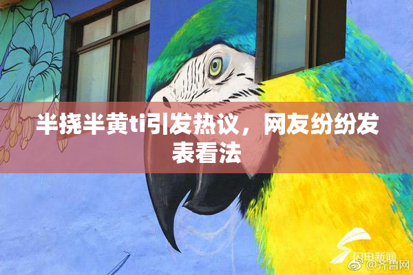 半挠半黄ti引发热议，网友纷纷发表看法