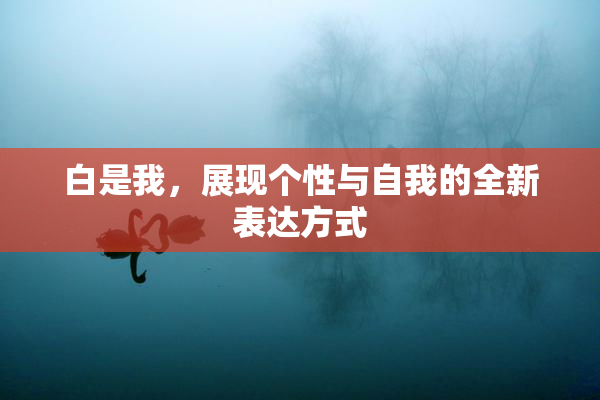 白是我，展现个性与自我的全新表达方式