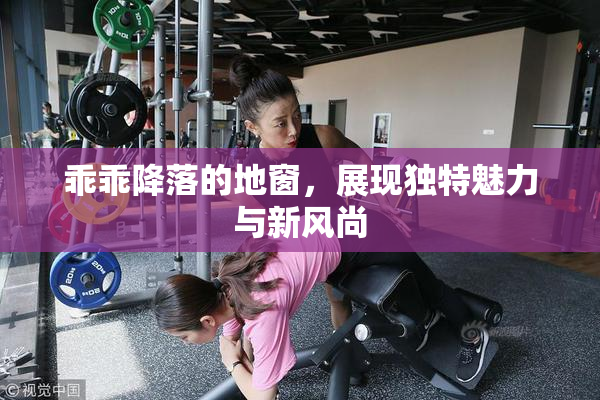 乖乖降落的地窗，展现独特魅力与新风尚