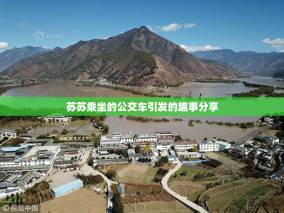 苏苏乘坐的公交车引发的趣事分享