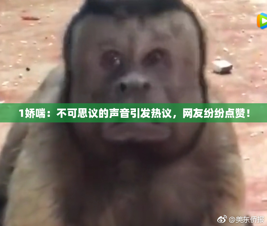 1娇喘：不可思议的声音引发热议，网友纷纷点赞！