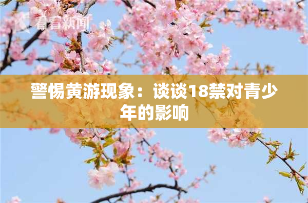 警惕黄游现象：谈谈18禁对青少年的影响