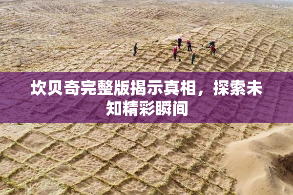 坎贝奇完整版揭示真相，探索未知精彩瞬间