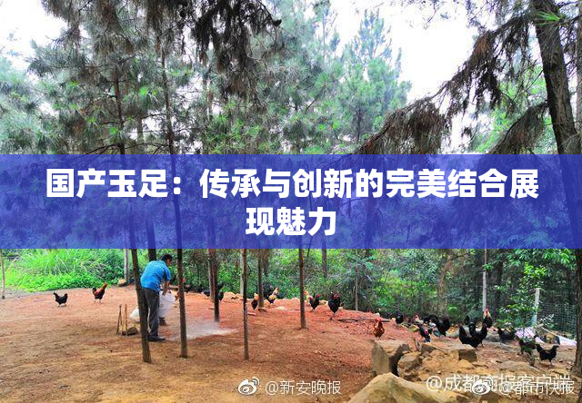 国产玉足：传承与创新的完美结合展现魅力