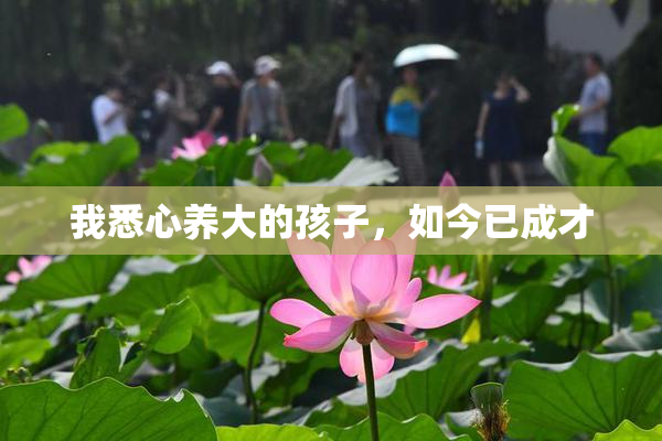 我悉心养大的孩子，如今已成才