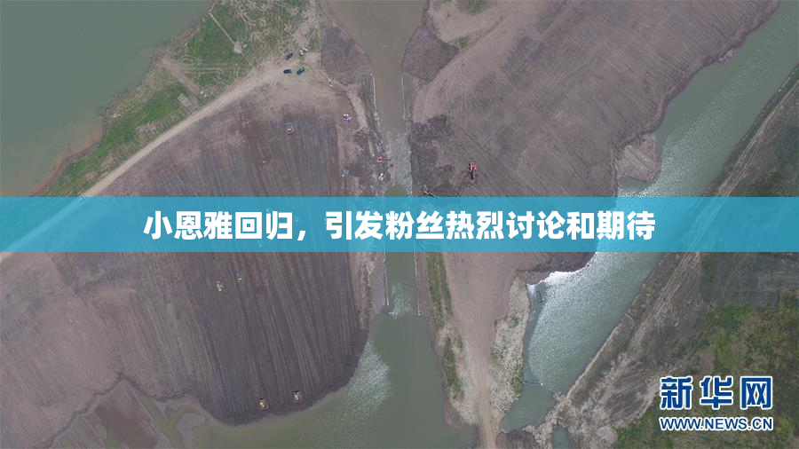 小恩雅回归，引发粉丝热烈讨论和期待