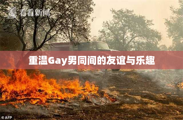 重温Gay男同间的友谊与乐趣