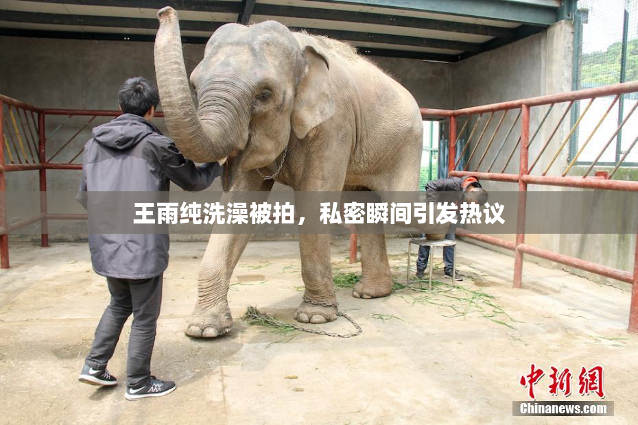 王雨纯洗澡被拍，私密瞬间引发热议