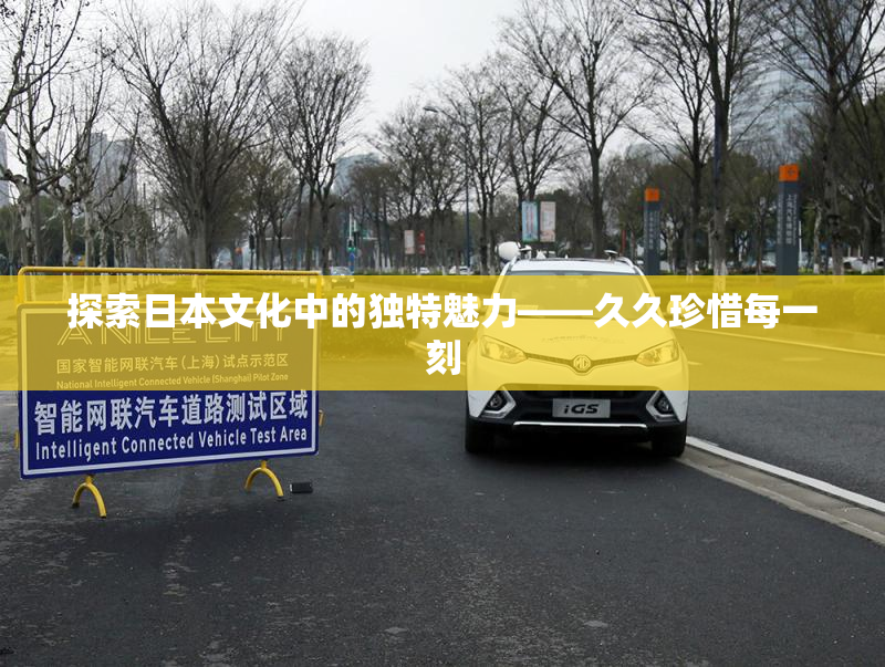 探索日本文化中的独特魅力——久久珍惜每一刻