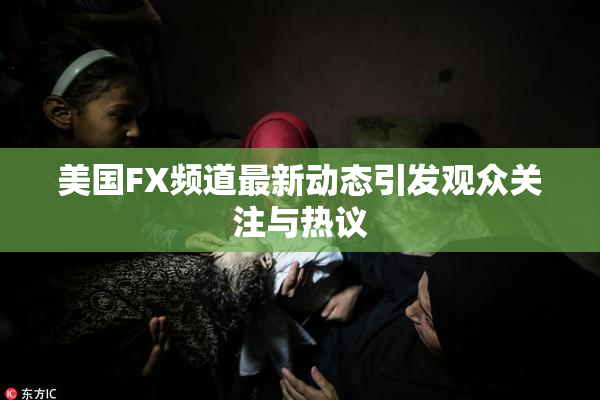 美国FX频道最新动态引发观众关注与热议