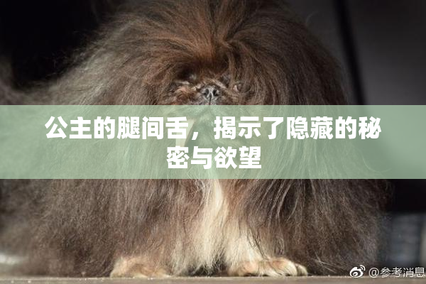 公主的腿间舌，揭示了隐藏的秘密与欲望